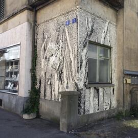 Fassadenbild Köchlistrasse 5